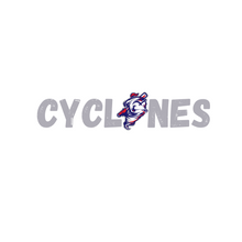 Load image into Gallery viewer, comfort colors boxy crop- Cyclones- white