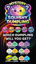 Load image into Gallery viewer, Mystery Dumpling Squishies fidget- PRE ORDER- DUE JUNE 5