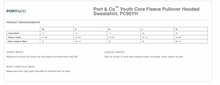 Load image into Gallery viewer, CCSC-WILDFIRE -port and co YOUTH hooded sweatshirt-gray
