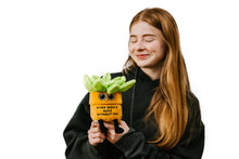 Load image into Gallery viewer, Plush Succulent - Work would suc
