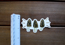 Load image into Gallery viewer, Small Morel Mushroom Sticker
